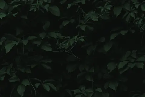 green leaves moving in the background